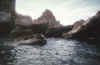 Sea of Cortez 1998 ae.jpg (32588 bytes)