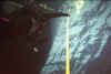 Sea of Cortez 1998 y.jpg (31508 bytes)