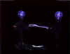 BRIANS_SWEET_TWINS 3.jpg (17178 bytes)